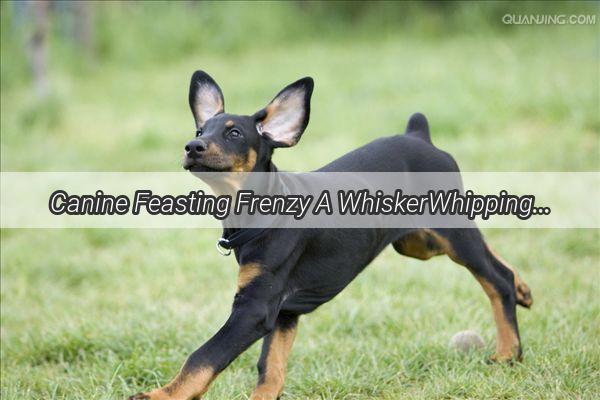 Canine Feasting Frenzy A WhiskerWhipping Doggy Eating Contest Extravaganza